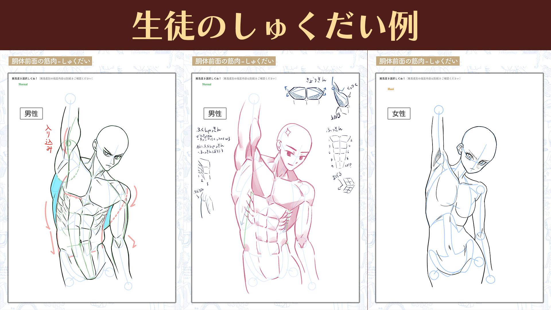 人体基礎の授業｜イラストアカデミア